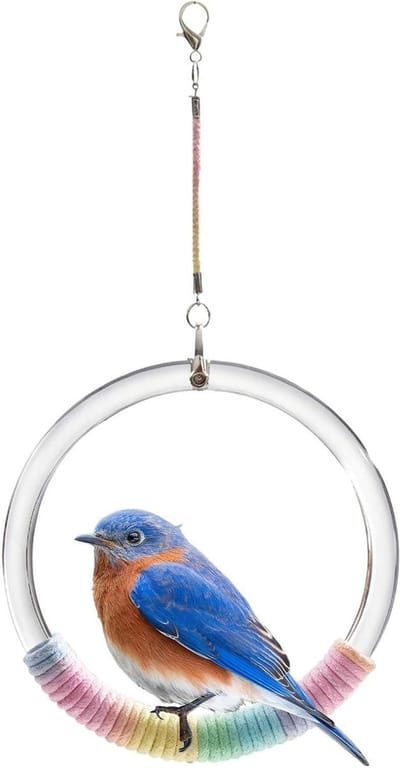 Vogelschommel Speelgoed - Zitstok Touw - Vogel Vermaak - Snavelvriendelijk Ontwerp - 13 x 13 x 3 cm - Niet gespecificeerd