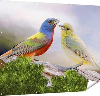 Gards Tuinposter Getekende Gorzen Vogels - Kleur - Abstract - 150x120 cm - Tuindoek - Tuindecoratie - Wanddecoratie buiten - Tuinschilderij