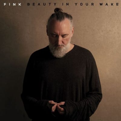 Fink - Beauty In Your Wake (CD)