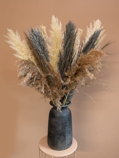 Droogboeket Grace – Pampas Pluimen – Landelijk Droogbloemen Boeket 80 cm