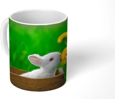 Mok - Koffiemok - Konijn - Paardenbloem - Gras - Mokken - 350 ML - Beker - Koffiemokken - Theemok
