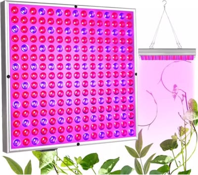 LED groeilamp - kweeklamp - full spectrum - groei & bloei - grow light - groeilamp full spectrum - 35 Watt - 31 x 31 cm - 225 LEDs