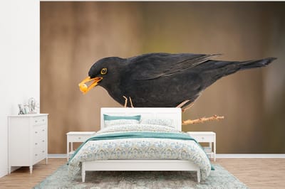 Behang - Fotobehang Vogel - Merel - Winter - IJs - Bes - Breedte 400 cm x hoogte 300 cm