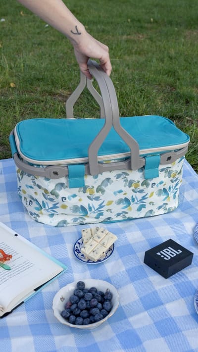 Geïsoleerde Koeltas| Lunchtas| Thermotas| 22 Liter| Picknicktas| Isolatie| Kamperen