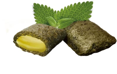 GimCat Nutri Pockets with Catnip and Multi-Vitamin - 3 stuks