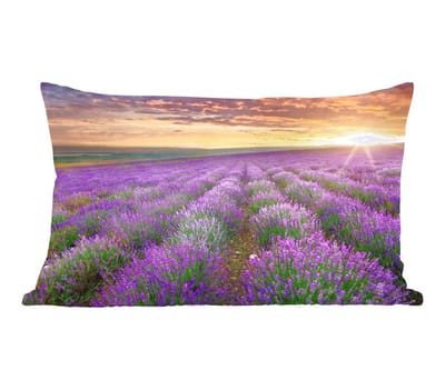 Sierkussens - Kussentjes Woonkamer - 50x30 cm - Lavendel - Wolken - Lente