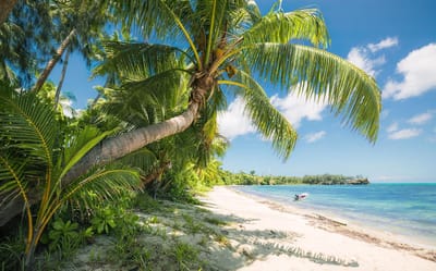 Fotobehang - Fiji Dreams Boat 450x280cm - Vliesbehang