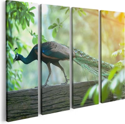 Artaza Canvas Schilderij Vierluik Pauw Loopt Op Een Tak In De Natuur - 80x60 - Foto Op Canvas - Canvas Print