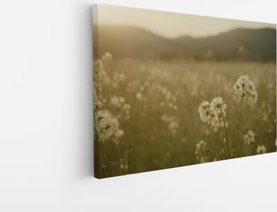 Saammp Canvas Schilderij - Landschap - Wit - Bloemenveld met zonsondergang - Natuur - 45x30 - Foto op canvas - Wanddecoratie - Muurdecoratie Woonkamer - Slaapkamer decoratie - Canvas Print