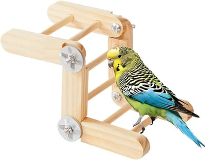 Vogelladder Kooi - Vogelklimspeelgoed - Vogel Gezondheid - Verstelbare Hoek - 20x10x8cm - Houtkleur