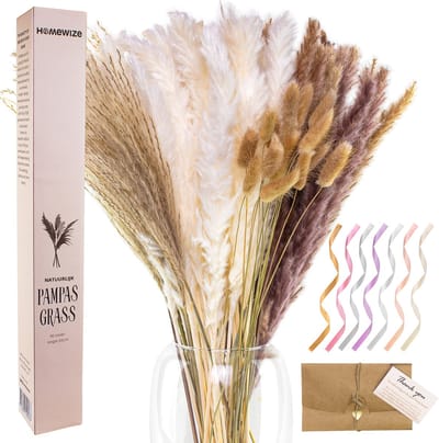 Homewize Pampasgras Pluimen - Set 90 stuks met 4 Soorten Natuurlijke Droogbloemen - Gedroogde Bloemen met 65cm Lange Stelen voor Vloervaas - Creëer Jouw Fantastische Droogboeket