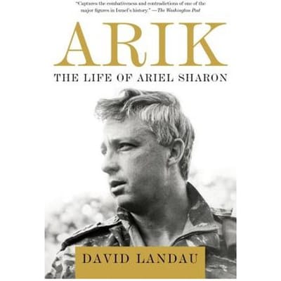 Arik - David Landau
