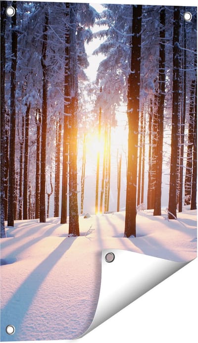 Gards Tuinposter Bos met Sneeuw tijdens de Zonsondergang - 40x60 cm - Tuindoek - Tuindecoratie - Wanddecoratie buiten - Tuinschilderij