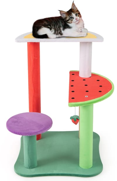 COSTWAY Krabpaal klein, schattig fruitthema, 69 cm, kattenboom met platforms & aardbeibal & krabpalen, kattenkrabpaal kattenmeubel, klimboom, activiteitsboom, speelboom, kleurrijk