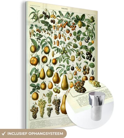 MuchoWow® Glasschilderij 30x40 cm - Schilderij acrylglas - Adolphe Millot - Vintage - Fruit - Peer - Druiven - Foto op glas - Schilderijen