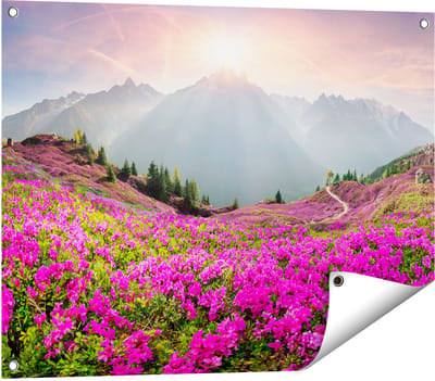 Gards Tuinposter Rhododendron Bloemenveld in de Alpen - 80x60 cm - Tuindoek - Tuindecoratie - Wanddecoratie buiten - Tuinschilderij