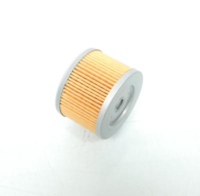 Filtre à huile origine pour Moto Benelli 125 BN 2020 à 2021 169124320000 Neuf