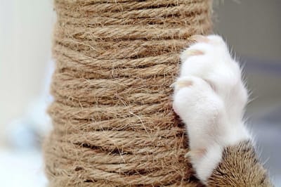 Natuurlijk Jute Touw 10mm - Sterk, Weerbestendig & Milieuvriendelijk