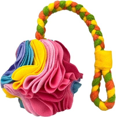 Hond Snuffle Bal - Interactieve Voerbal - Mentale Stimulatie - Veilig Pluche Materiaal - Niet Gespecificeerd - Roze