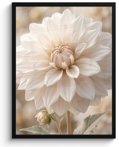 Poster in lijst - Fotolijst 60x80 cm - Posters - Bloem - Dahlia - Wit - Posterlijst zwart - Decoratie - Wanddecoratie woonkamer - Muurdecoratie slaapkamer