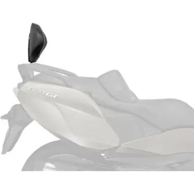 Scooter rugleuning Shad BMW c650gt