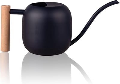 IMEEA 1 liter roestvrijstalen gieter met houten handvat - kleinere potplanten - lange uitloop - kamerplanten en vetplanten - zwart