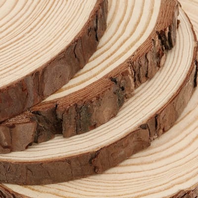 Dailygoods- Houtplakken 8 Stuks 23-25 cm - Natuurlijke Houtplakken - Onbewerkte Houtblokken - Kunst/DIY Decoratie - Onderzetters - Schorsranden - Houten Cirkels