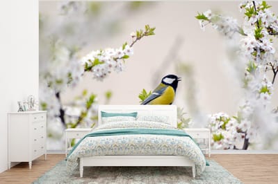 Behang - Fotobehang Vogel - Koolmees - Bloemen - Bloesemboom - Breedte 375 cm x hoogte 280 cm
