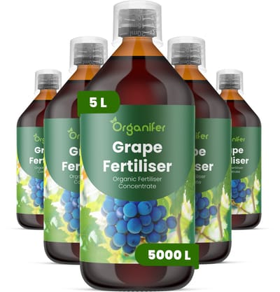 Vloeibare Meststof Voor Druiven 5X1 L Voor 5000 L - Npk 2-1-8 - Krachtige Rankgroei - Droogtetolerantie - Schilsterkte - Bevordert Consistente - Gezonde Groei Gedurende Lange Groeiseizoenen - Geschikt Voor Wijndruiven En Tafeldruiven - Organifer