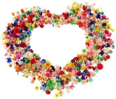 Dailygoods- Gedroogde Bloemen 560 Stuks - Kleine Ster Bloemen - DIY Decoratie - Nail Art - Fotolijsten - Duurzaam en Helder - Bloemdecoratie