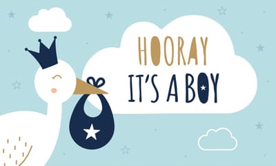 LUQ – Gevelvlag Hooray Boy – 150x90cm – XXL Polyester Vlag – Feestdecoratie Binnen & Buiten Versiering – Direct Ophangen