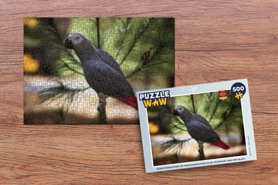 Puzzel Grijze roodstaart of papegaaiachtige in de schaduw van een blad - Legpuzzel - Puzzel 500 stukjes