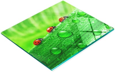 Decoratieve glazen keukensnijplank met lieveheersbeestje- en gazonmotief, 60x52 cm