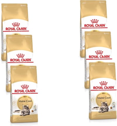 Royal Canin Maine Coon Adult - Kattenvoer - 6 x 400 g