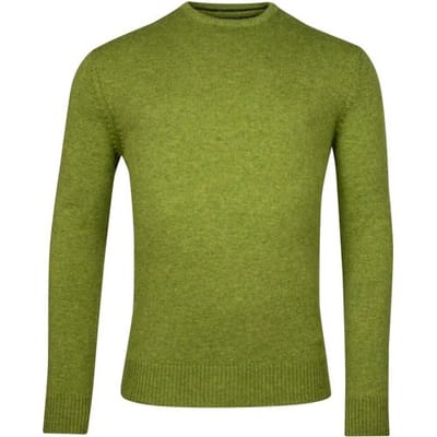 Baileys Trui Crew Neck Lambswool Single Knit Grasgroen / male