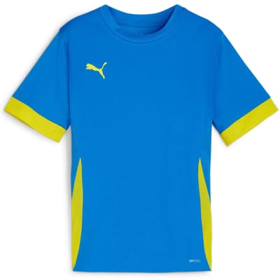 Trainingstrui voor kinderen Puma TeamGoal