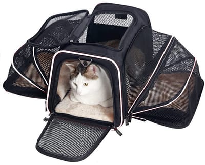 katten reismand - Reismand kat - met schouderband - Kattenmand - vierzijdige uitzetbare opening-38x25x7 CM-zwart