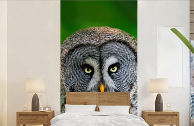 Behang - Fotobehang Vogel - Uil - Dieren - Bruin - Portret - Breedte 120 cm x hoogte 240 cm