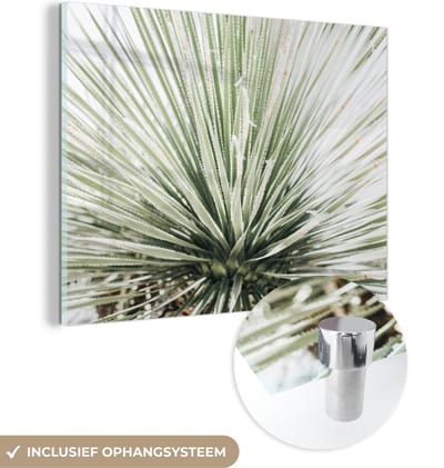 MuchoWow® Glasschilderij 120x90 cm - Schilderij acrylglas - Groen - Bladeren - Natuur - Foto op glas - Schilderijen