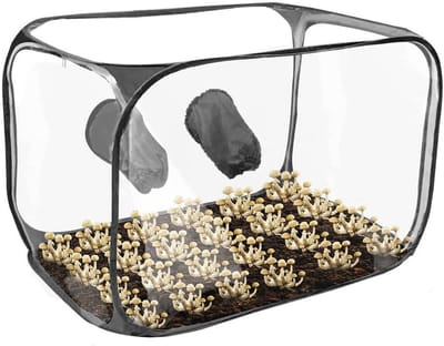 Complete Set voor het Kweken van Paddenstoelen - Monotub Kit, Groeibox, Groentassen en Tent voor Verse Luchtuitwisseling, Draagbaar en Vouwbaar