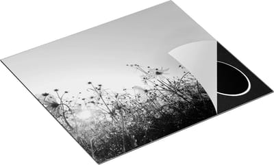 Chefcare Inductie Beschermer Kosmos Bloemenveld met een Opkomende Zon - Zwart Wit - 60x50 cm - Afdekplaat Inductie - Kookplaat Beschermer - Inductie Mat