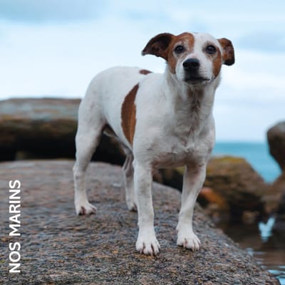 Nos Marins - Nos Marins (LP)