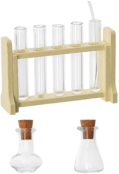 Dailygoods- Reageerbuisframe Mini - Houten/Glazen Set - Kleine Wetenschapsset - Micro Landschap Ornament - Decoratie - Experimenten - Miniatuur Reageerbuis
