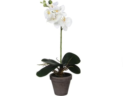 Mica Decorations Kunstplant Phalaenopsis Orchidee - wit - grijze pot - H38 x D13 cm - kamerplant
