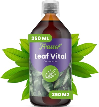 Leaf Vital Concentraat - 250 Ml Voor 250 M2 - Versterkt De Vitaliteit Van Bladeren En De Weerstand Van Planten - Milde Plantaardige Formule - Geschikt Voor Eetbare En Sierplanten - Veilig Voor Regelmatig Gebruik - Frassor