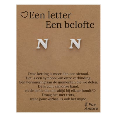 Initiaal Oorbellen met Letter N op Cadeau Kaartje - Een letter, een belofte - Zilverkleurig - Naam Sieraad Cadeau - Roestvrij Staal Oorknopjes - Pax Amare