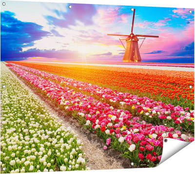 Gards Tuinposter Kleurrijke Bloemenveld met een Windmolen - 120x90 cm - Tuindoek - Tuindecoratie - Wanddecoratie buiten - Tuinschilderij