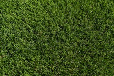 Kunstgras 2 x 5 meter - 40mm ✅ Nederlandse Productie - Uitgeroepen zachtste Grastapijt ✅ Waterdoorlatend | Tuin | Kind | Dier
