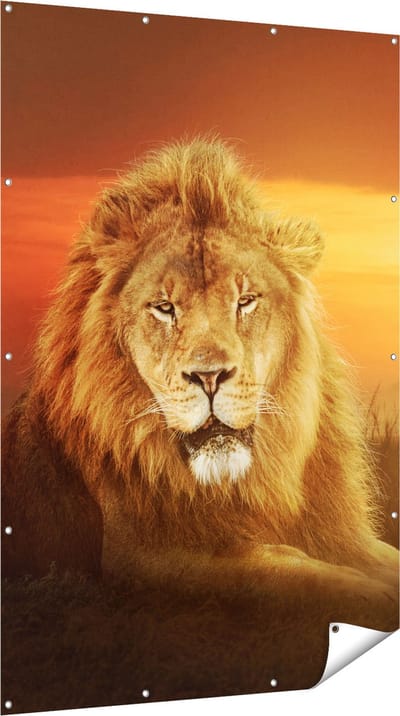 Gards Tuinposter Leeuw in de Savanne - Zonsondergang - 120x180 cm - Tuindoek - Tuindecoratie - Wanddecoratie buiten - Tuinschilderij