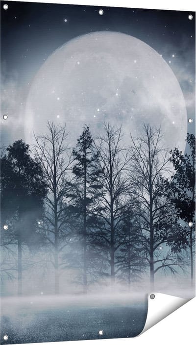 Gards Tuinposter Maan tussen de Bomen in de Nacht - 80x120 cm - Tuindoek - Tuindecoratie - Wanddecoratie buiten - Tuinschilderij